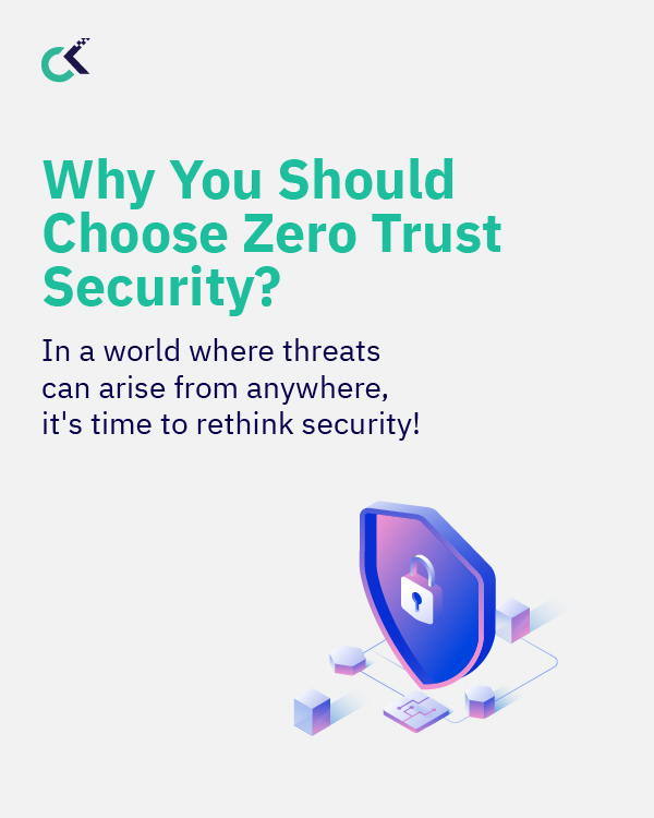 Why You Should Choose Zero Trust Security